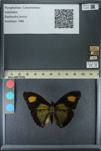 Media type: image;   Entomology 192207